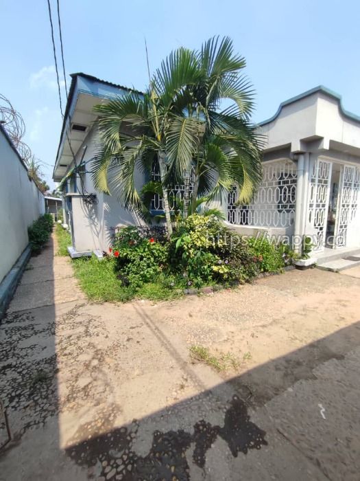 Parcelle de 11m/20m avec maison basse