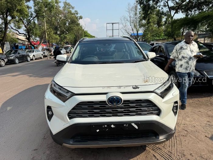 Toyota new Rav hybrid