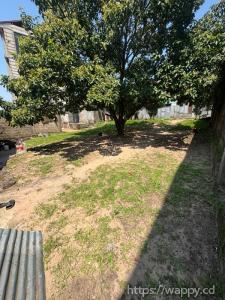 🏡 PARCELLE 20X29 à Ngaliema