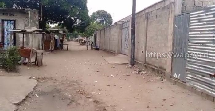 Terrain vide au Quartier terre jaune/Nsele