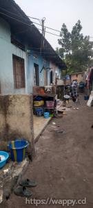 Parcelle avec 4 portes de locataires à N'djili