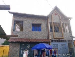 Un immeuble d'un niveau à N'djili Q5