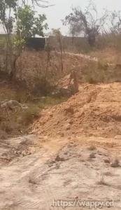 2 terrains sur kinsevere