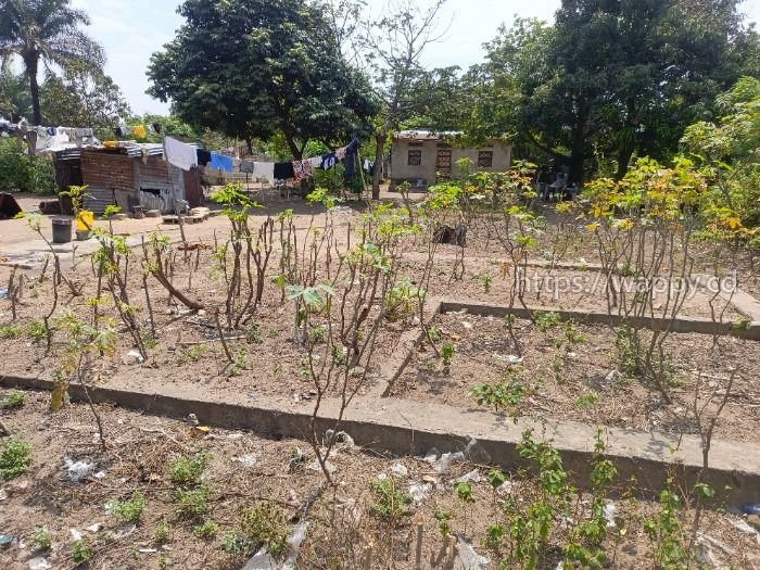 Terrain avec fondation – N’sele Camp PM
