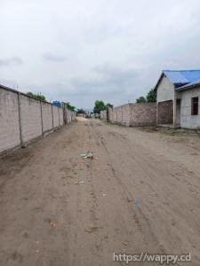 PARCELLE CLÔTURÉE AVEC DEUX HANGARS
