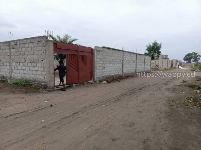 Parcelle clôturée avec deux hangars à N’sele