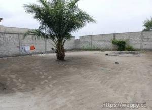 PARCELLE À SAISIR À N’SELE – URGENCE PROPRIÉTAIRE