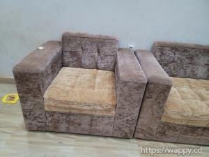 Chaises de Salon (Fauteuils)