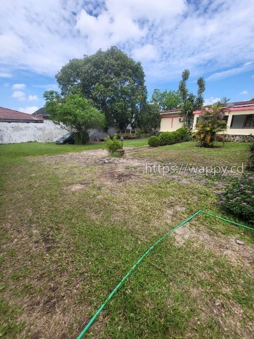 Morcellement de Terrains à Binza Pigeon – Ngaliema