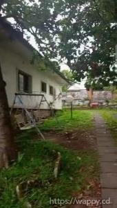 VILLA À NGALIEMA / MA CAMPAGNE – ROUTE OKAPI