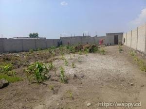 PARCELLE COMMERCIALE CLÔTURÉE – BOULEVARD LUMUMBA