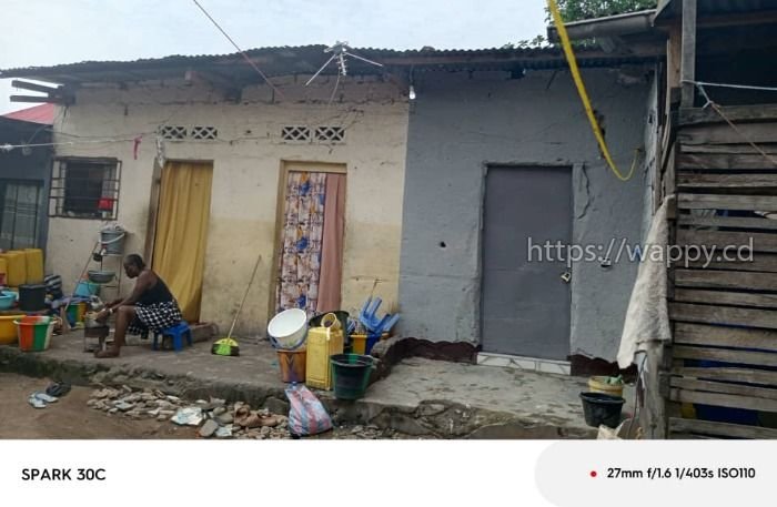 PARCELLE TYPE LOCATIF À VENDRE — NGALIEMA / BINZA