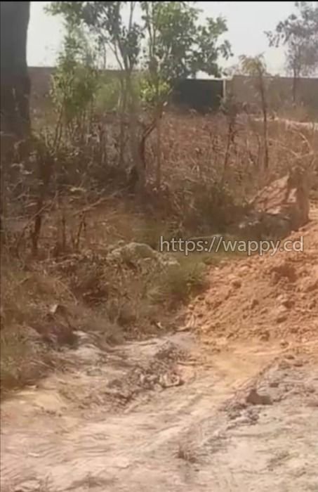 2 Terrain sur route Kinsevere