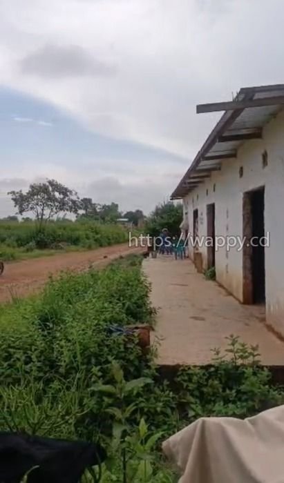 4 terrains à Golf Poleni