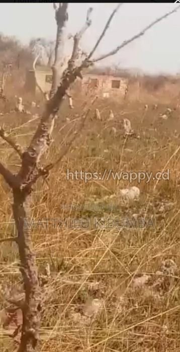 2 terrain sur route Kinsevere