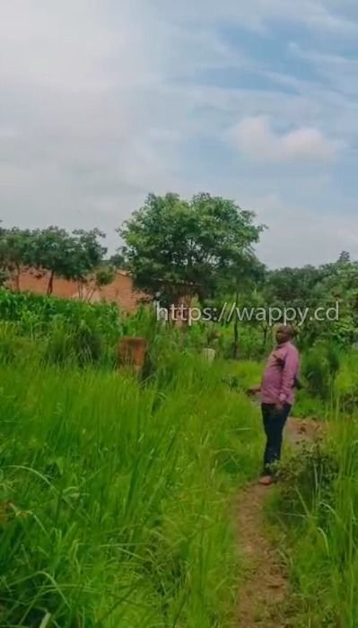 4 terrains - Golf Poleni