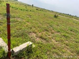 Terrain à vendre – N’Sele, Quartier Plaza