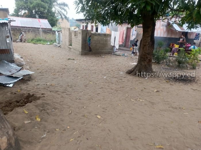 Terrain à N’Sele – Quartier Terre Jaune
