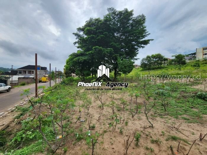 Terrain dans la commune de Ngaliema