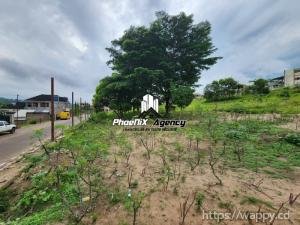 Morcellement d'un terrain à Ngaliema