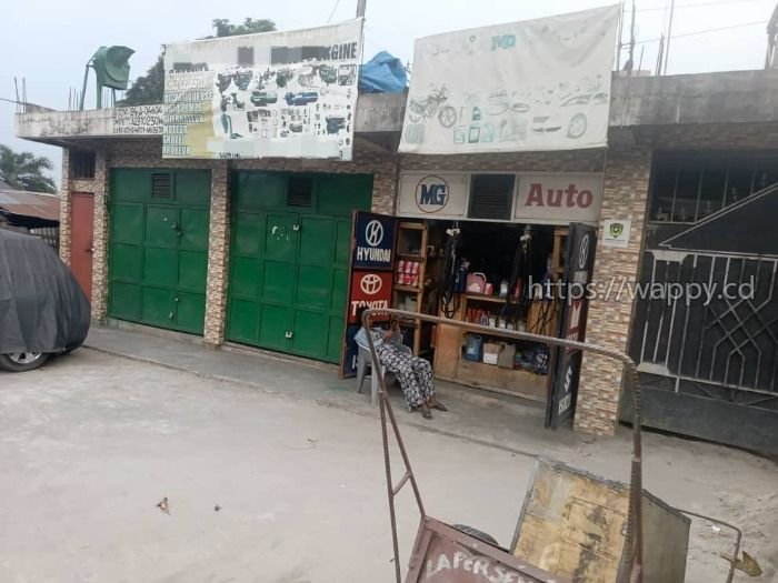 Parcelle commerciale sur Boulevard Lumumba