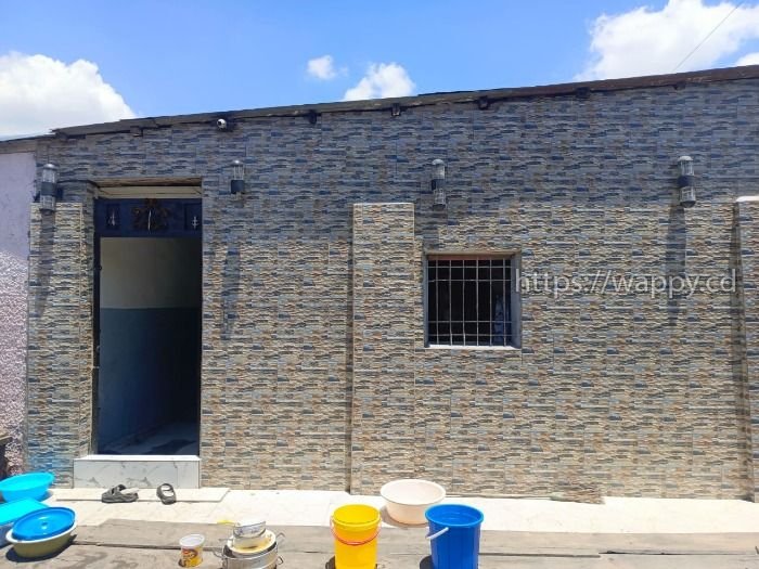 Parcelle rentable à Barumbu