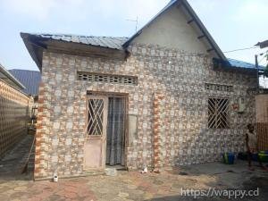 Parcelle clôturée avec maison et studio à – N'sele