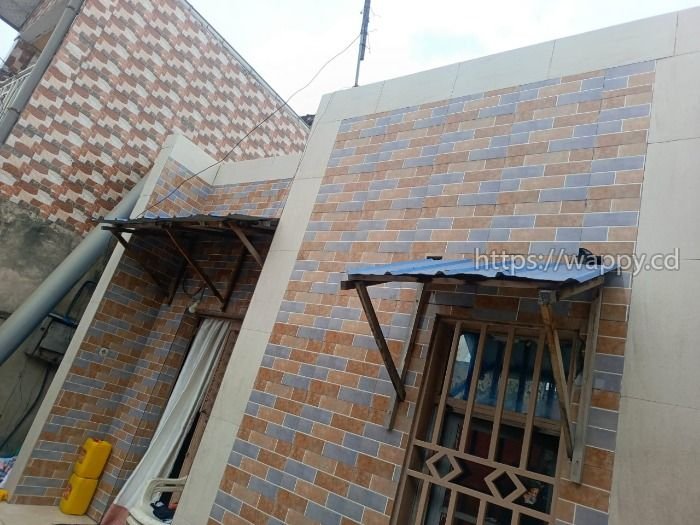 Parcelle locative à vendre – Barumbu (Songololo)