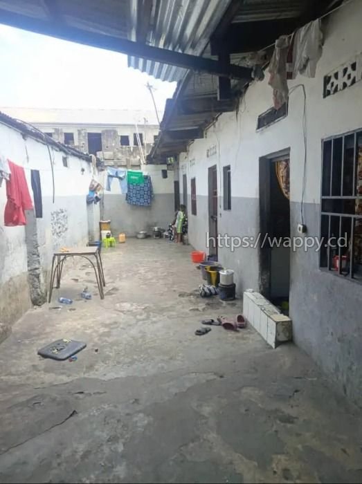 🏢 Parcelle locative – Quartier Funa1, Barumbu