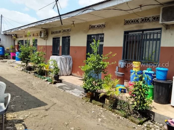 PARCELLE AVEC FORT POTENTIEL LOCATIF À YOLO