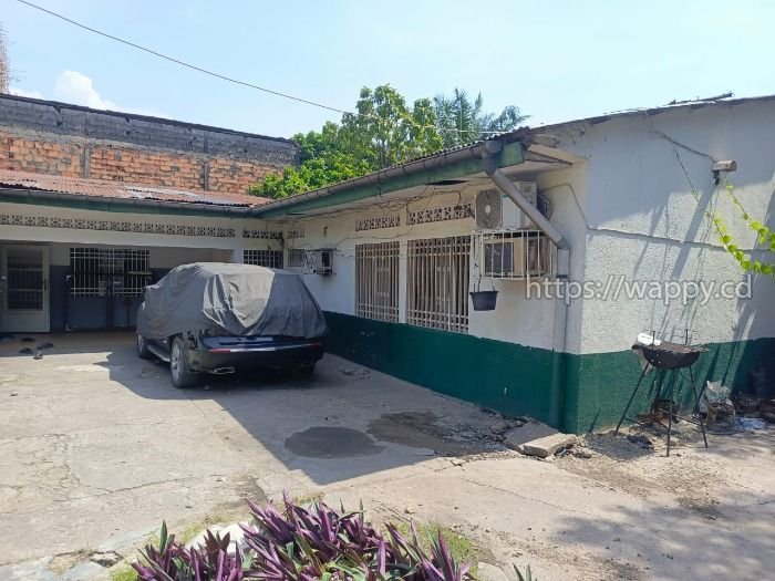 Parcelle à Bon Marché Libanais, Barumbu