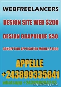 Designer siteweb $200