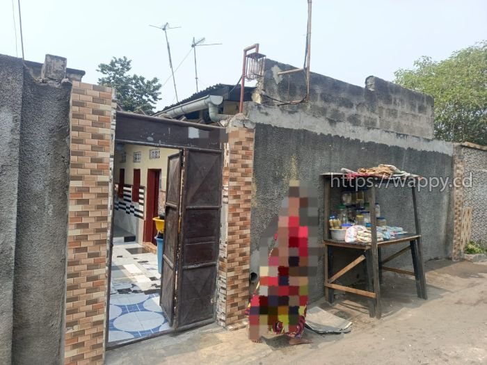 PARCELLE TYPE LOCATIF AVEC 3 PORTES À N’DJILI