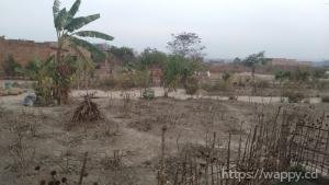 Terrain morcelé