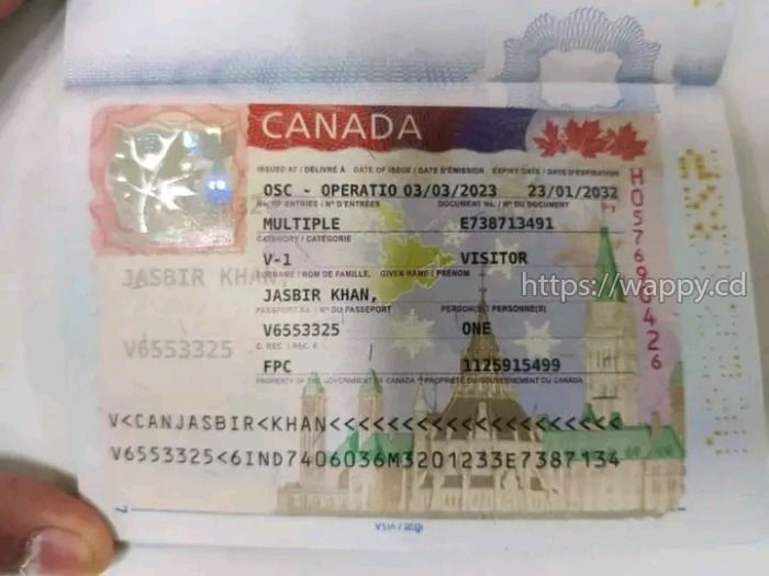 Assistance Visa canada et Schengen