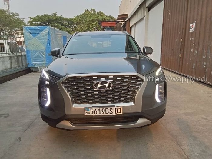 Hyundai Palisade: Annee 2022