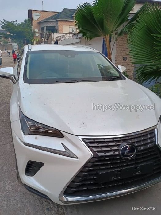 Lexus hybride NX300h