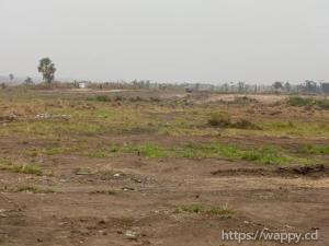 Terrain vide dans la Commune de la N'sele