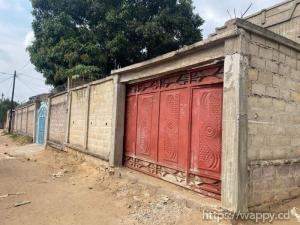 Parcelle avec maison R+1 à Mont Ngafula