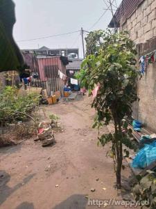 Parcelle avec terrain vide à NDJILI QUARTIER 8