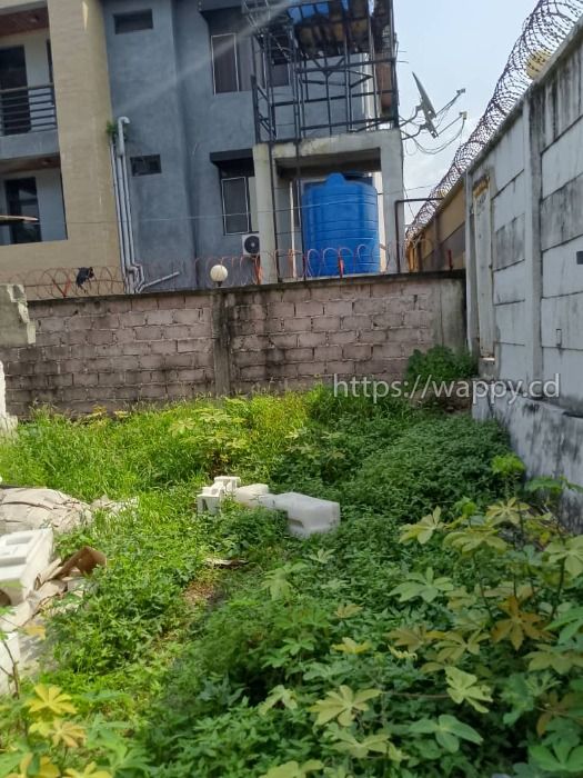 Terrain vide dans la commune de Limete 1ère rue