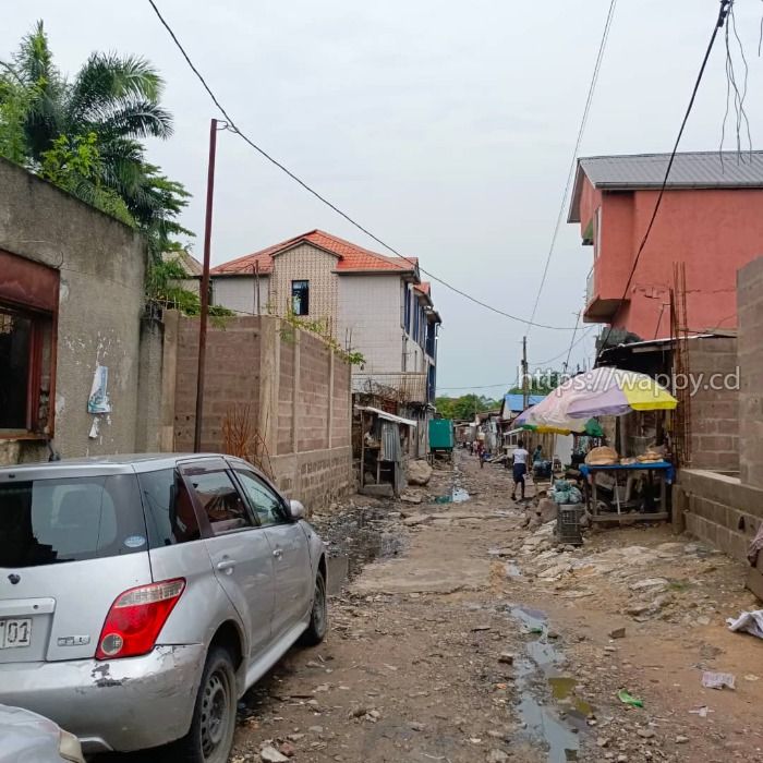 PARCELLE TYPE LOCATIF SITUÉ À LIMETE 1 ÈRE RUE